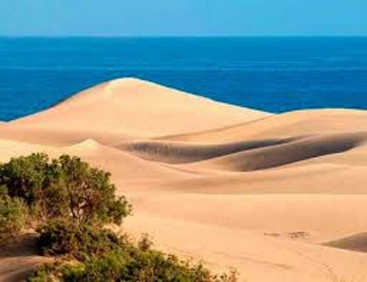 Bungalow Dunas&Sea Maspalomas Maspalomas  Eksteriør billede